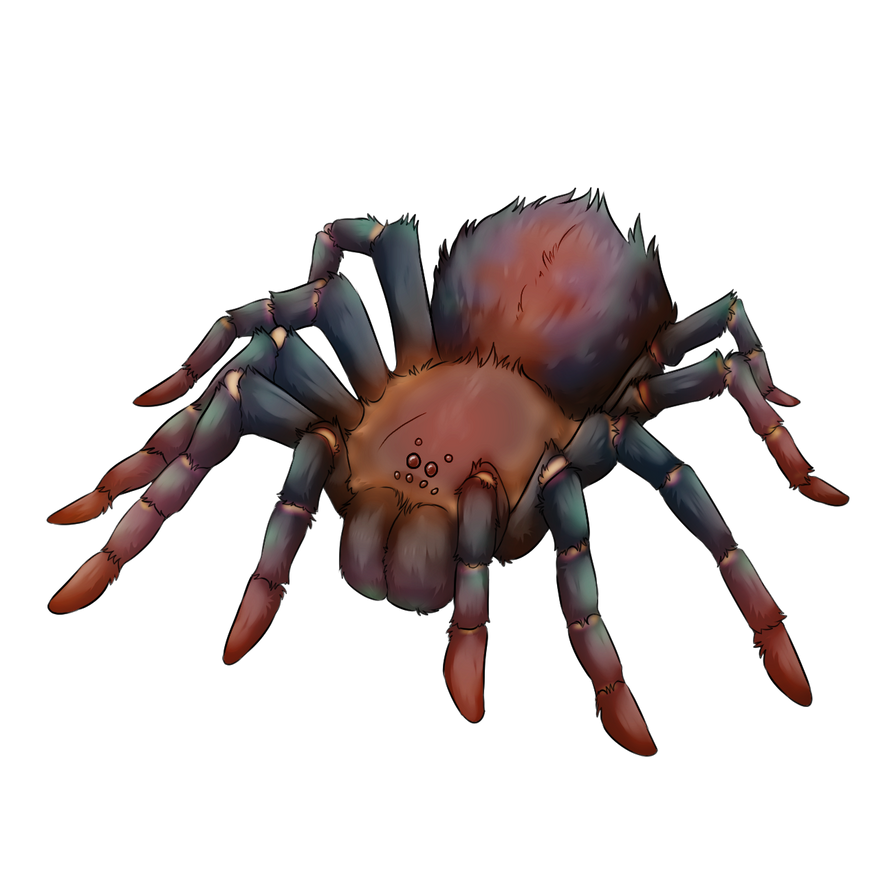 Tarantula Deviantart Tarantula Multi by DinoData on DeviantArt