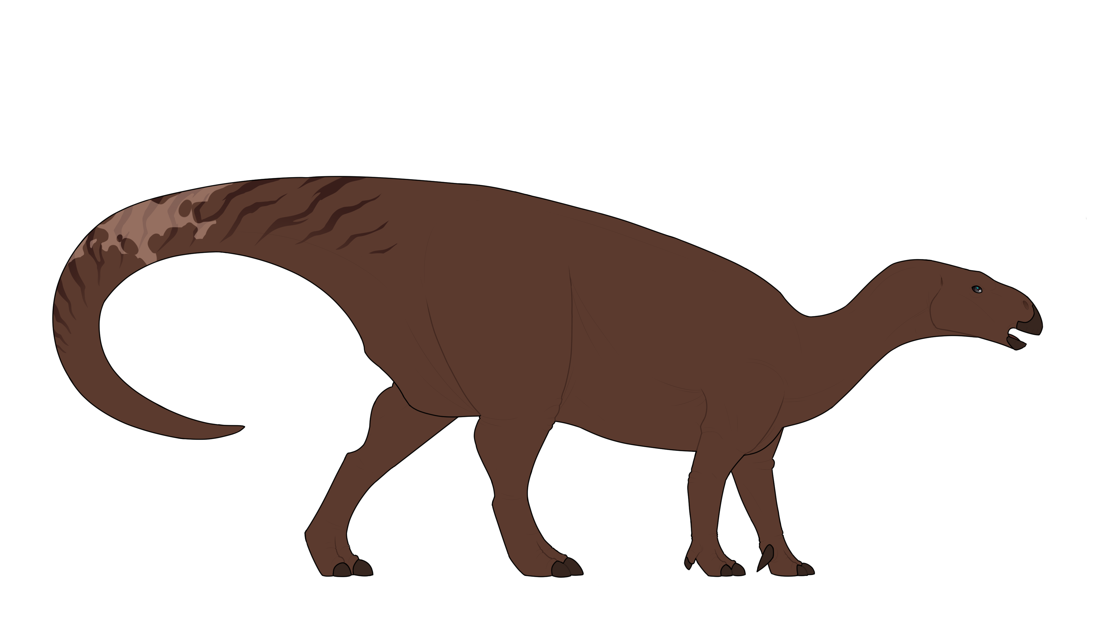 dix8o7j-963709b9-c221-4843-a7a8-3f2cb967c311.png?token=eyJ0eXAiOiJKV1QiLCJhbGciOiJIUzI1NiJ9.eyJzdWIiOiJ1cm46YXBwOjdlMGQxODg5ODIyNjQzNzNhNWYwZDQxNWVhMGQyNmUwIiwiaXNzIjoidXJuOmFwcDo3ZTBkMTg4OTgyMjY0MzczYTVmMGQ0MTVlYTBkMjZlMCIsIm9iaiI6W1t7InBhdGgiOiJcL2ZcL2I2Y2U1MjYyLWQ1YzktNDlkZC1hMTc4LWIxMjE2MWY3Mzc2MVwvZGl4OG83ai05NjM3MDliOS1jMjIxLTQ4NDMtYTdhOC0zZjJjYjk2N2MzMTEucG5nIn1dXSwiYXVkIjpbInVybjpzZXJ2aWNlOmZpbGUuZG93bmxvYWQiXX0.1G9IqIc09bUlwE-FovLHOphcwoQKv0Cbrwv-f3Ymf6o