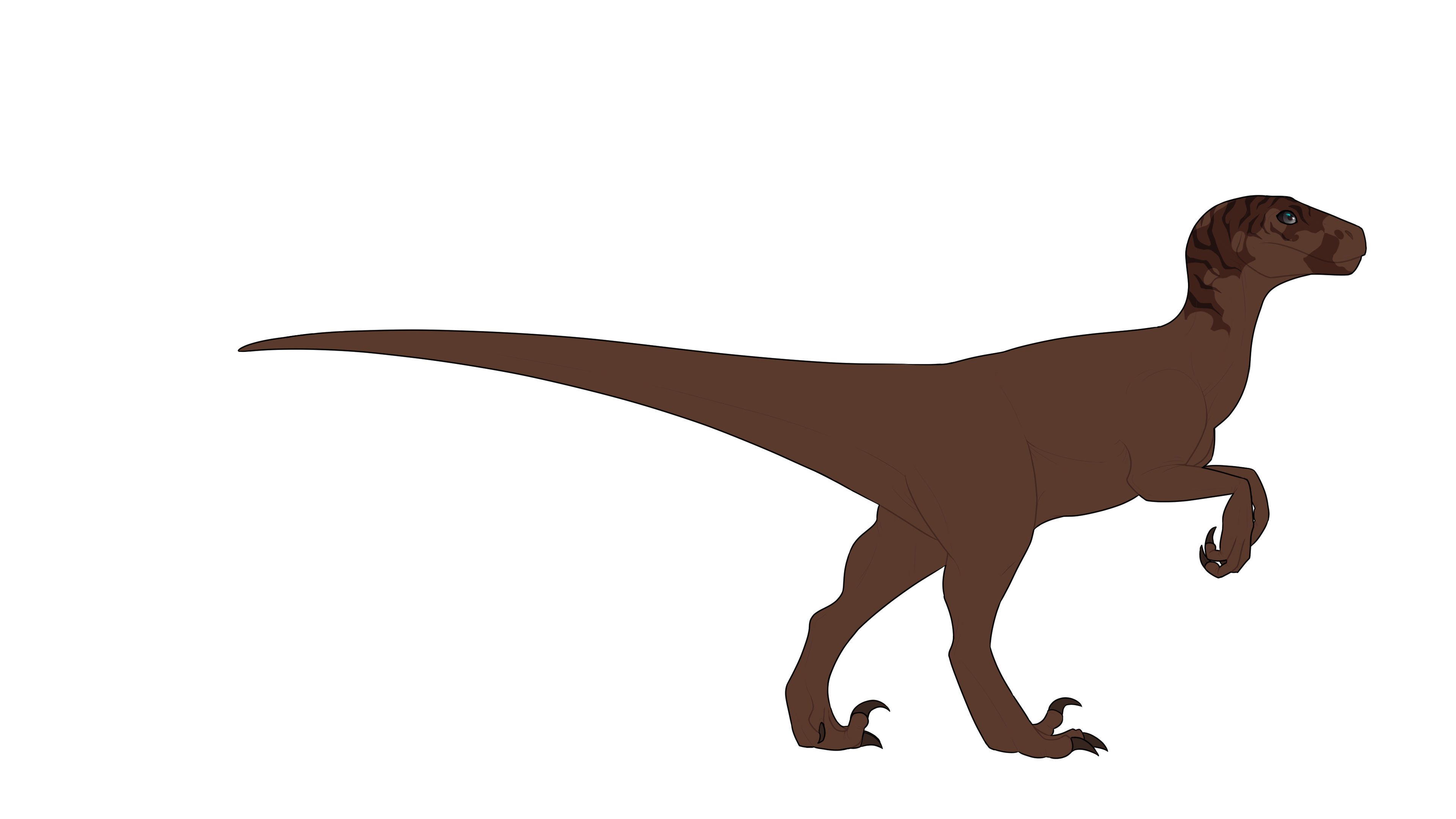 dix8oan-fcc00e5b-30ef-4a57-872d-602658417cca.png?token=eyJ0eXAiOiJKV1QiLCJhbGciOiJIUzI1NiJ9.eyJzdWIiOiJ1cm46YXBwOjdlMGQxODg5ODIyNjQzNzNhNWYwZDQxNWVhMGQyNmUwIiwiaXNzIjoidXJuOmFwcDo3ZTBkMTg4OTgyMjY0MzczYTVmMGQ0MTVlYTBkMjZlMCIsIm9iaiI6W1t7InBhdGgiOiJcL2ZcL2I2Y2U1MjYyLWQ1YzktNDlkZC1hMTc4LWIxMjE2MWY3Mzc2MVwvZGl4OG9hbi1mY2MwMGU1Yi0zMGVmLTRhNTctODcyZC02MDI2NTg0MTdjY2EucG5nIn1dXSwiYXVkIjpbInVybjpzZXJ2aWNlOmZpbGUuZG93bmxvYWQiXX0.Mw7GhFqa89zh6zcsRDUk6UKQWTZVWx4wrhSGdczEHts