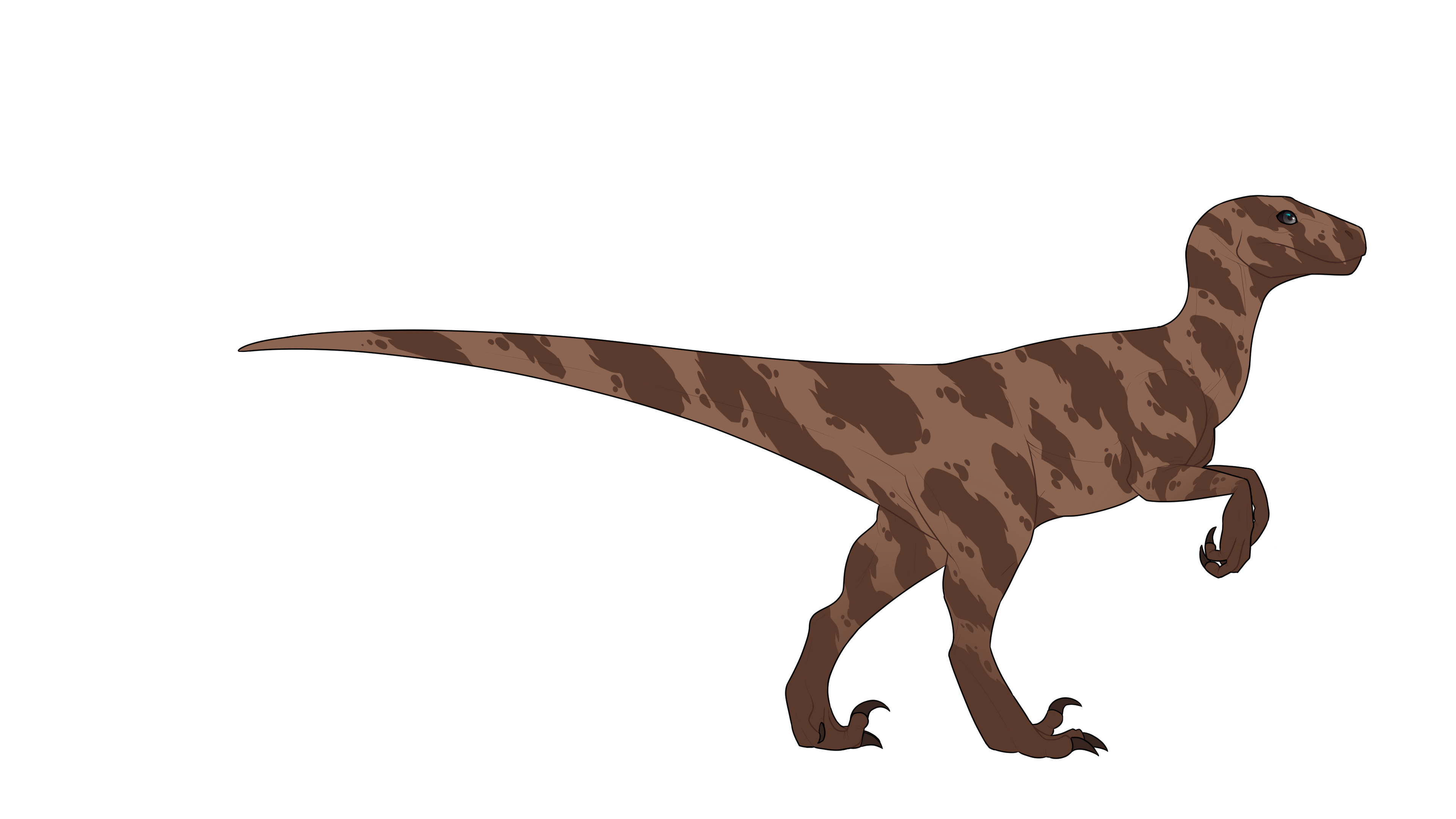 dj73ack-9f7144ee-3487-4cbc-9ae2-7cef830e6ef9.png?token=eyJ0eXAiOiJKV1QiLCJhbGciOiJIUzI1NiJ9.eyJzdWIiOiJ1cm46YXBwOjdlMGQxODg5ODIyNjQzNzNhNWYwZDQxNWVhMGQyNmUwIiwiaXNzIjoidXJuOmFwcDo3ZTBkMTg4OTgyMjY0MzczYTVmMGQ0MTVlYTBkMjZlMCIsIm9iaiI6W1t7InBhdGgiOiJcL2ZcL2I2Y2U1MjYyLWQ1YzktNDlkZC1hMTc4LWIxMjE2MWY3Mzc2MVwvZGo3M2Fjay05ZjcxNDRlZS0zNDg3LTRjYmMtOWFlMi03Y2VmODMwZTZlZjkucG5nIn1dXSwiYXVkIjpbInVybjpzZXJ2aWNlOmZpbGUuZG93bmxvYWQiXX0.XXvy2qAtux_1fvdca7CtPzisPD7R5w50wp3s0J_g0LE