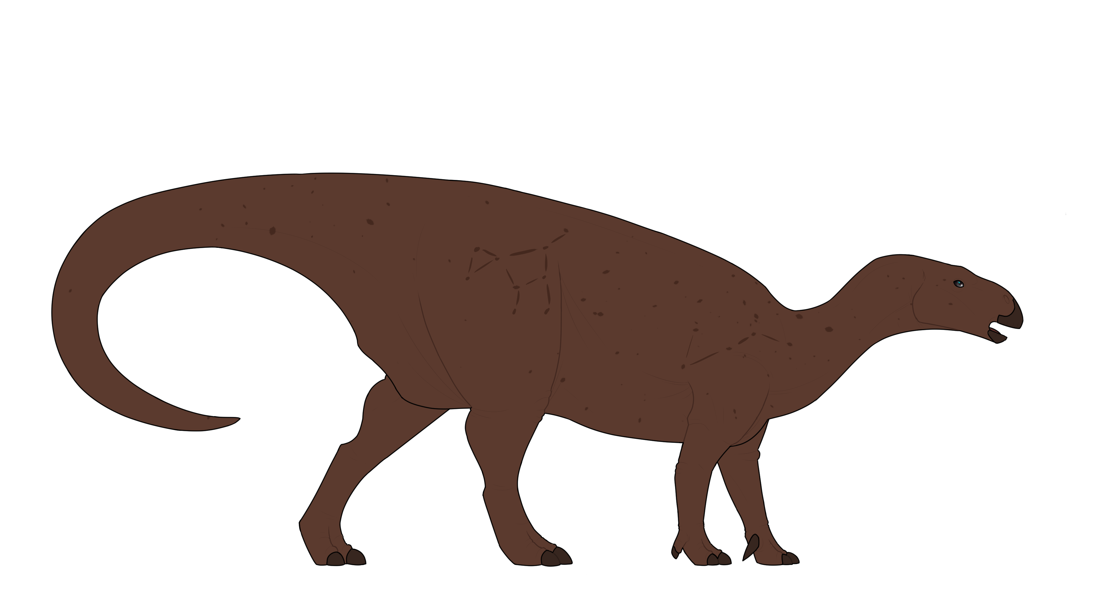 djgh59z-e3afec78-0ef9-4ac0-bb1a-bffc3534b7b5.png?token=eyJ0eXAiOiJKV1QiLCJhbGciOiJIUzI1NiJ9.eyJzdWIiOiJ1cm46YXBwOjdlMGQxODg5ODIyNjQzNzNhNWYwZDQxNWVhMGQyNmUwIiwiaXNzIjoidXJuOmFwcDo3ZTBkMTg4OTgyMjY0MzczYTVmMGQ0MTVlYTBkMjZlMCIsIm9iaiI6W1t7InBhdGgiOiJcL2ZcL2I2Y2U1MjYyLWQ1YzktNDlkZC1hMTc4LWIxMjE2MWY3Mzc2MVwvZGpnaDU5ei1lM2FmZWM3OC0wZWY5LTRhYzAtYmIxYS1iZmZjMzUzNGI3YjUucG5nIn1dXSwiYXVkIjpbInVybjpzZXJ2aWNlOmZpbGUuZG93bmxvYWQiXX0.OddkNBnfBYAXBAGEkdXnNiP-pvf-cGO03fQNW8HWXAU