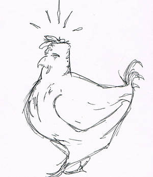 Chicken sketch