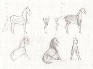 Fluttershy Studies: Part 1