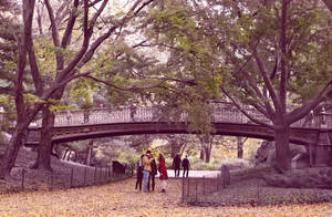 untitled autumn park scene