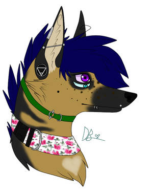 Donnie Headshot by AngelMarionette Donnie Headshot by AngelMarionette