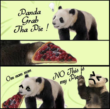 Grab my Panda