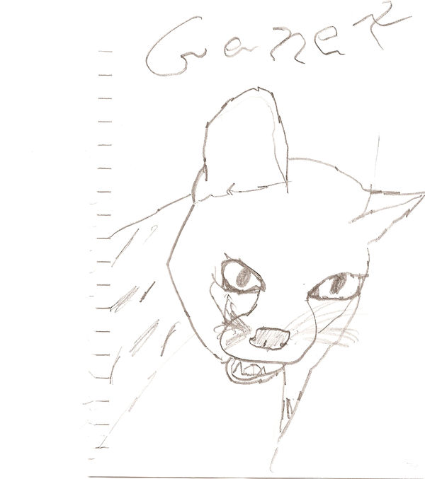 Genet by Thylawolf on DeviantArt