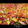 Autumn leafs vol.2