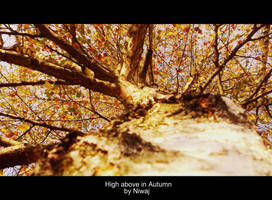 High above in Autumn