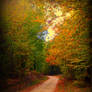 Road to Autumn