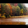 Lake in autumn