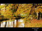 Autumn colours by niwaj