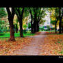 Path in autumn