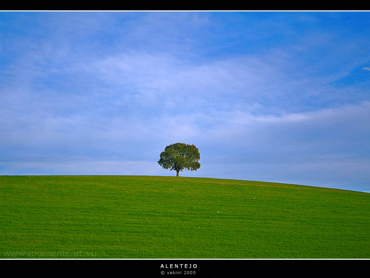 Alentejo by yekini
