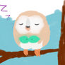 Sleepy Rowlet! (Pokemon sun and moon)