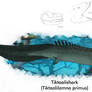 Ancestor of terrestrial selachids - Tiktaalishark