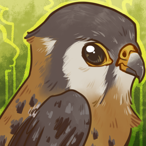 Kestrel Icon