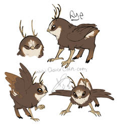 Rye Birdeer Doodles