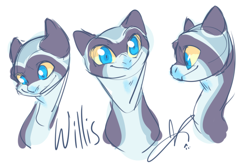 Willis Practice Heads