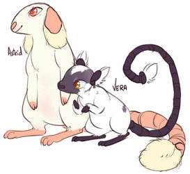 Lintling Concepts: Astrid and Vera by CloverCoin