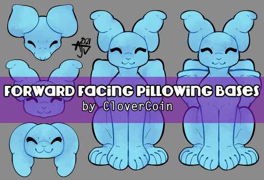 Forward Facing Pillowing Base Pack