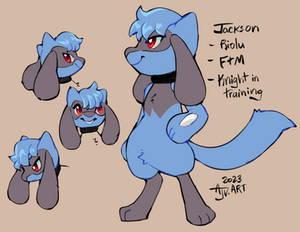 Jackson Test Draws