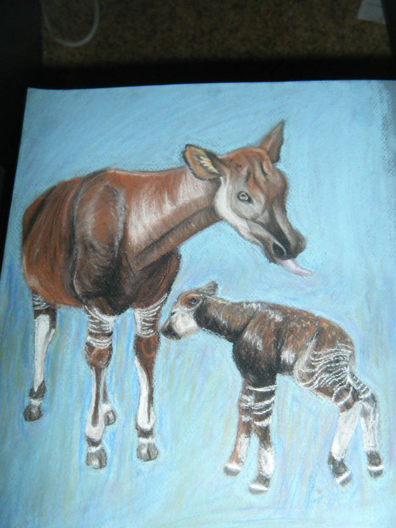 Okapi by SkipperNeo on DeviantArt