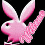 Playboy welcome