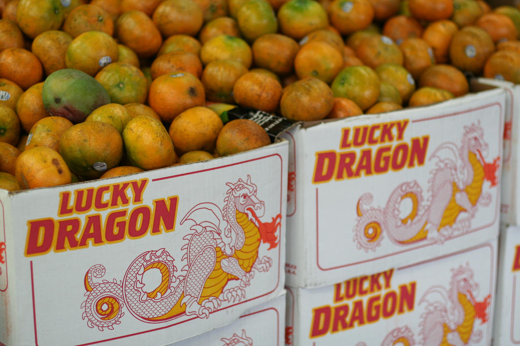 Lucky Dragon