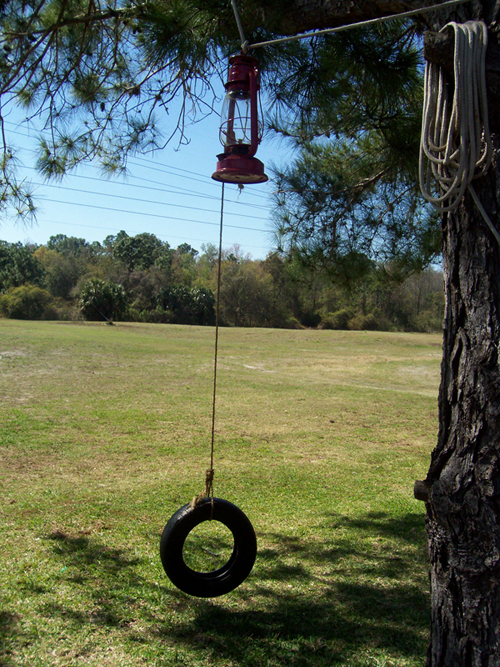 Ashleys perrty tire swing