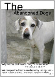 the abandoned dog