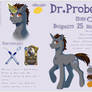 Probe reference sheet