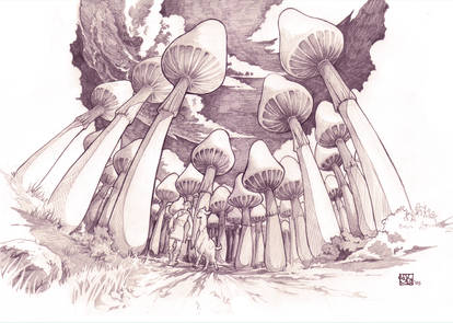  mushroompath