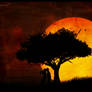 After the Sun Set