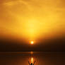 Silhouette