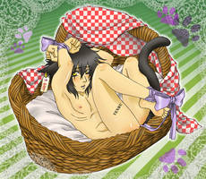 Neko in his basquet for you --- Yaoi Neko Contest