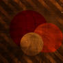 Circle 3
