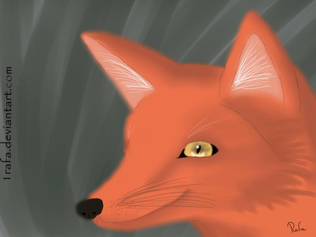 Deviantart Foxa Fox by 1Rafa on DeviantArt