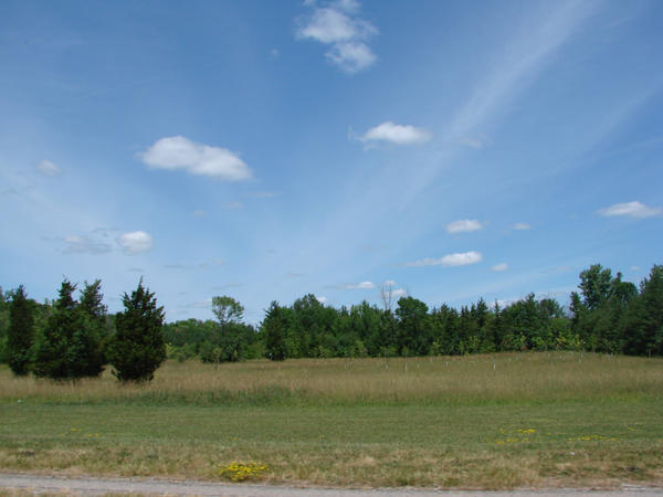 Field Background by RosalineStock on DeviantArt