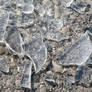 Broken Glass I