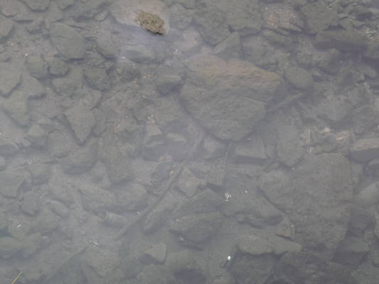 Shallow Water with Rocks