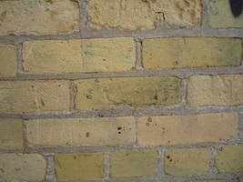 Old Yellow Brick Wall