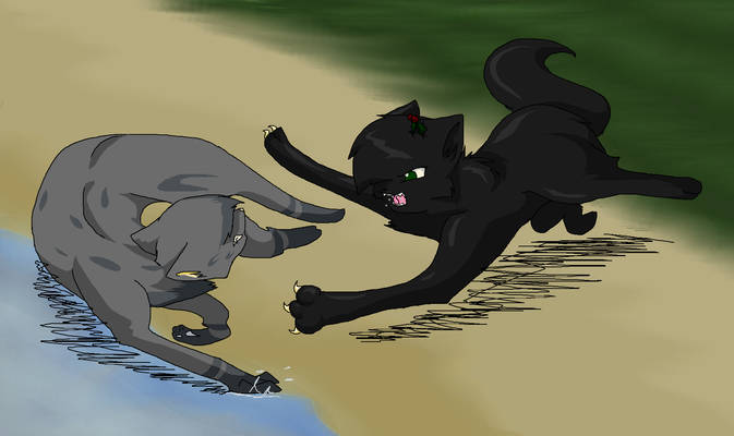 Hollyleaf and Ashfur