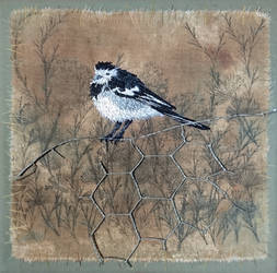 Hand Embroidered Wagtail by Ruth Norbury