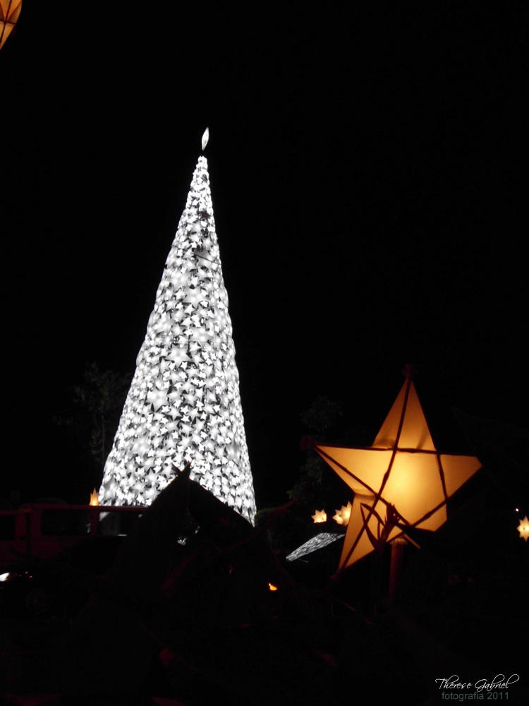 Christmas Tree and Star