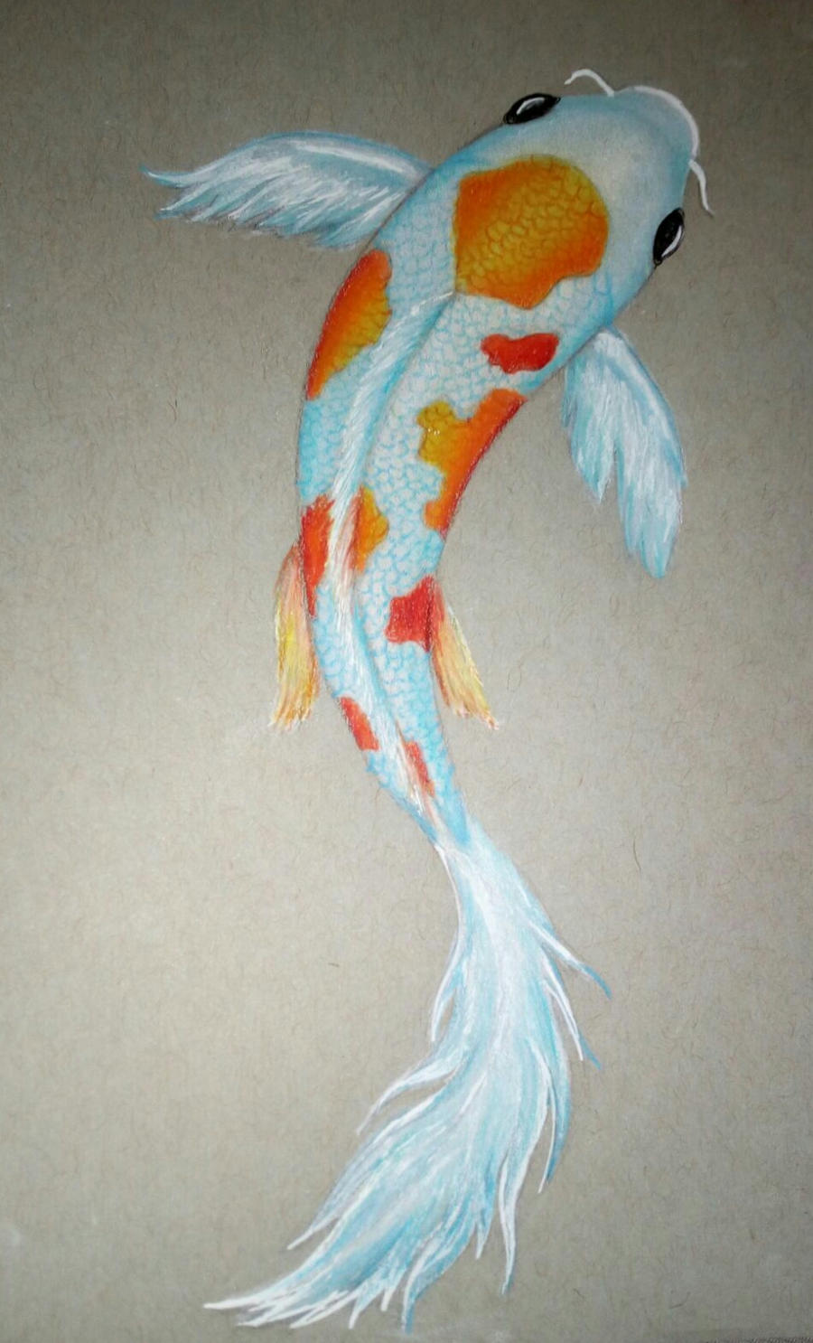 Koi fish drawing by philosophicalphoton on DeviantArt