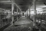 The old school buildings SGGW by aniaw The old school buildings SGGW by aniaw