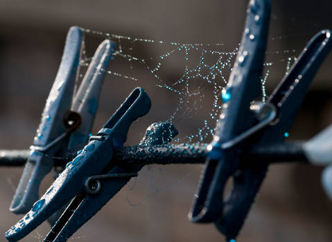 Webs on pegs