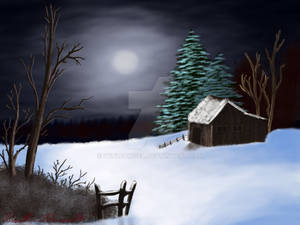 Night time Winterscape