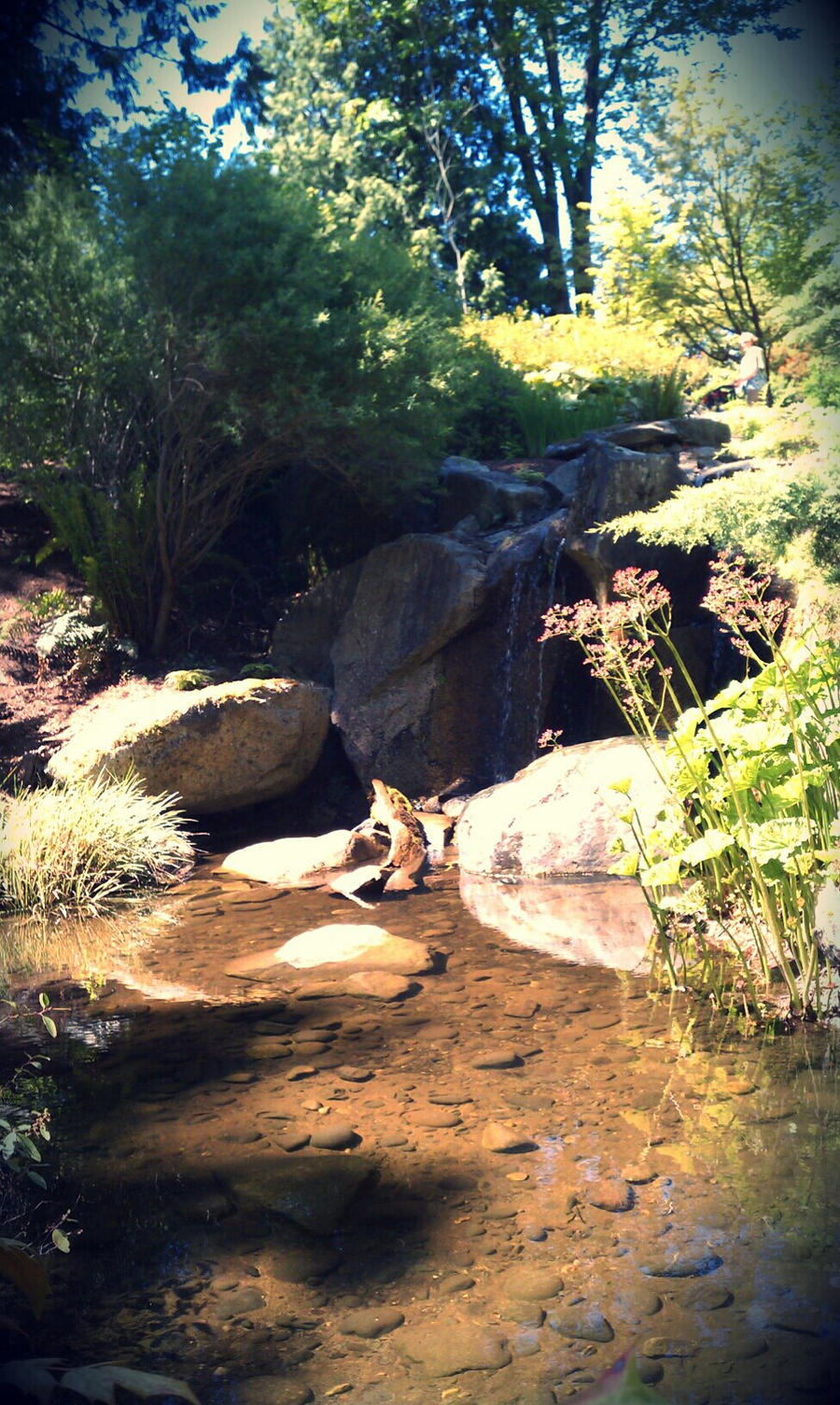 Pond and Waterfall [edited]